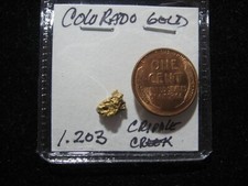 COLORADO GOLD NUGGETS CRIPPLE CREEK AREA 1.203 GRAMS 7239.12 per troy oz
