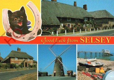 Ansichtskarte> Selsey (Multiview) mit einer schwarzen Katze [Lachs]