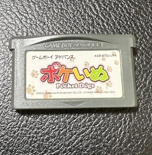 boy advance poke dog J2