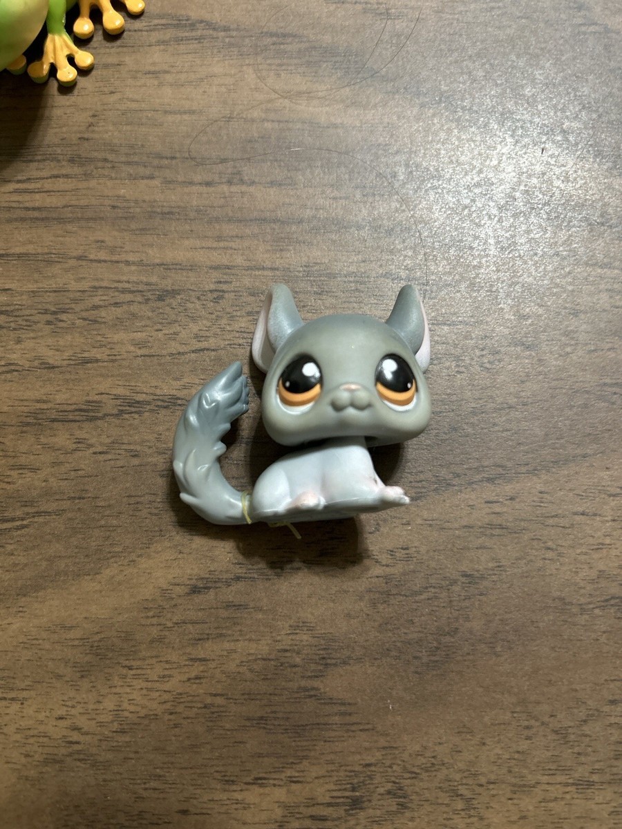 Littlest Pet Shop Authentic # 144 Gray Chinchilla Brown Eyes