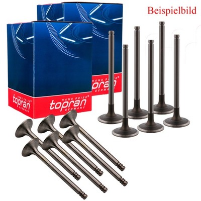TOPRAN 6x Einlassventil 6 Auslassventil Satz für Opel Vectra B 1.8i 16V 2.0i