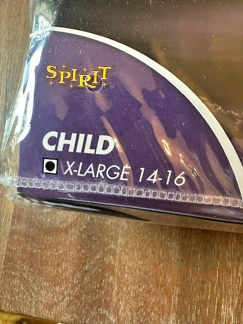 Hocus Pocus Winifred Sanderson Child Halloween Costume XL 14-16 Spirit Halloween - Image 3 of 4