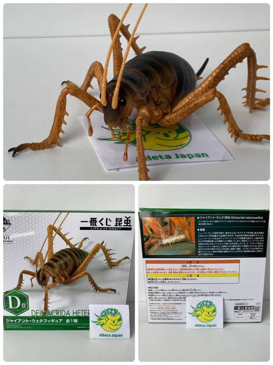 Giant Weta figure Life with Insect Ichiban kuji BANDAI Toy 10cm