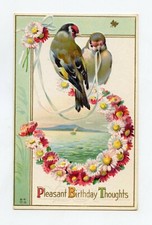 Joli couple de CHARDONNERETS . Oiseaux . GOLDFINCH . Bird . Vogel STIEGLITZ