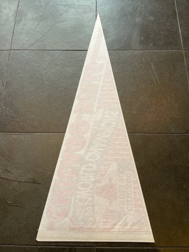 Vintage 1991 Chicago Bulls World Champs NBA Basketball Pennant Michael Jordan - Picture 7 of 12