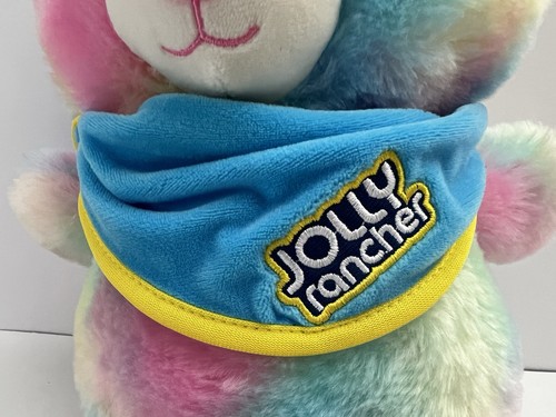 Jolly Rancher 15 Zoll Teddybär Plüsch mit Rucksack & Bandana Stofftier Spielzeug - Bild 4 von 15