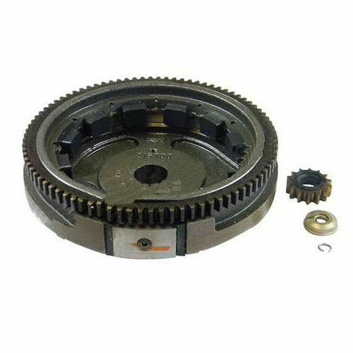 Briggs & Stratton Flywheel 591759 for sale online eBay