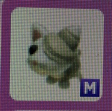 Mega Neon White Mummy Cat From Halloween 2021 (Out-of-Game)