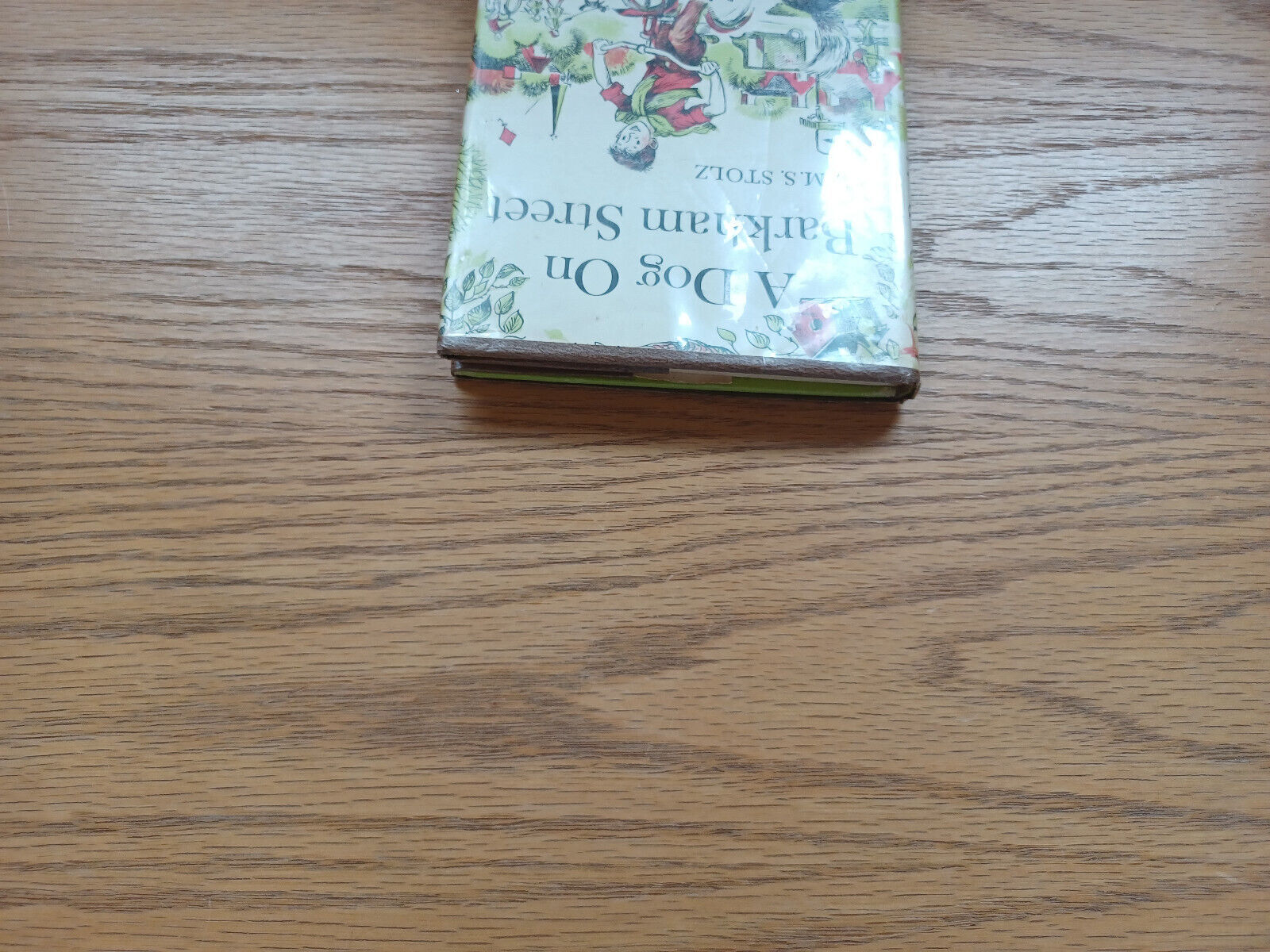 FILA A Dog On Barkham Street M S Stolz 1960 Hardcover Dust Jacket Harper & Row