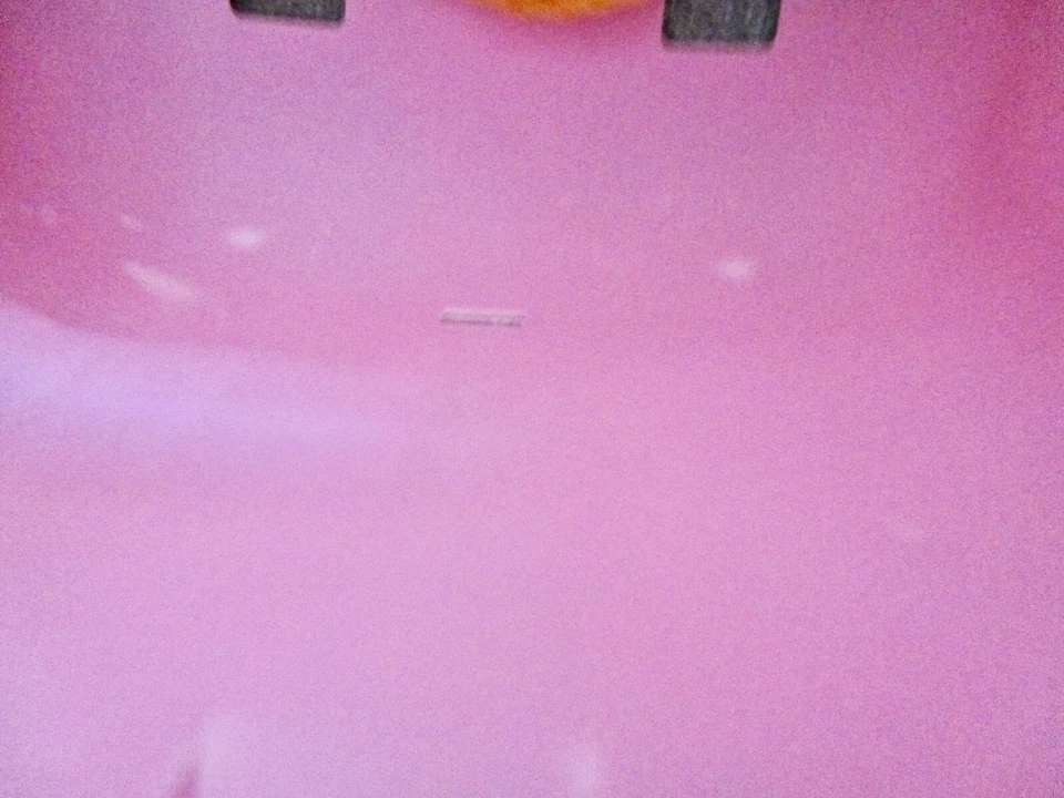 Columpio 2 en 1 cómodo y seguro con respaldo alto y barra en T, rosa (U3) Foto 3 de 3