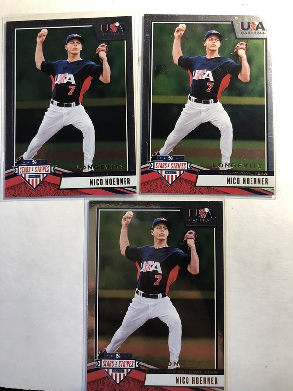 2019 Stars & Stripes Nico Hoerner lot of 3 cards