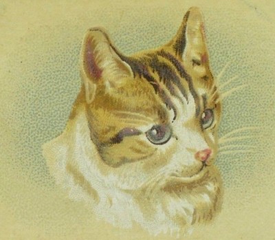 Edward G. Billings Fancy Goods & Toys Musical Instruments Cute Cat P108
