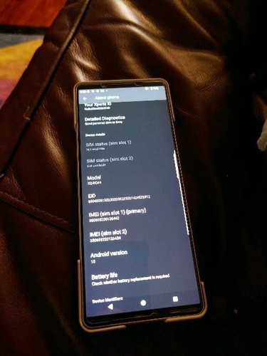 NEW Sony Xperia 1 V XQ-DQ44 512GB 16GB RAM Dual SIM Unlocked (Platinum Silver)