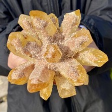 1,32 lb Nuevo Encontrar Amarillo Fantasma Cuarzo Cristal Racimo Mineral Espécimen Sanación