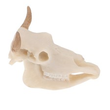 Skull Decor Aquarium Hideaway Cave for Aquatic Pets Decoration
