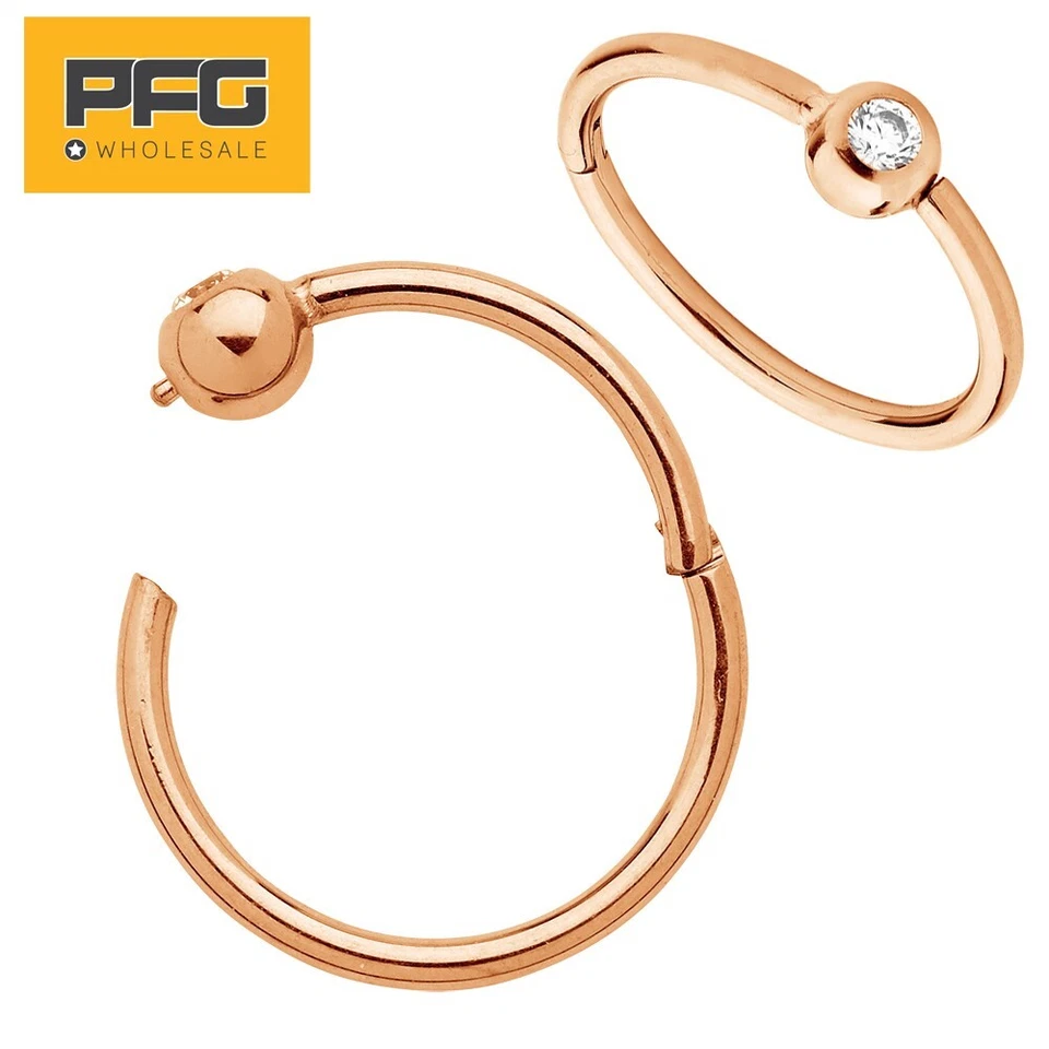 G23 Titanium Gem BCR Hinged Ball Closure Segment Nose Septum Lip Ring Earrings Foto 4 de 4