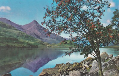 LOCH LEVEN BLICK AUF DEN PAP VON GLENCOE ~ GEBRAUCHT ~ VERSCHICKT ~ POST DATIERT 1975