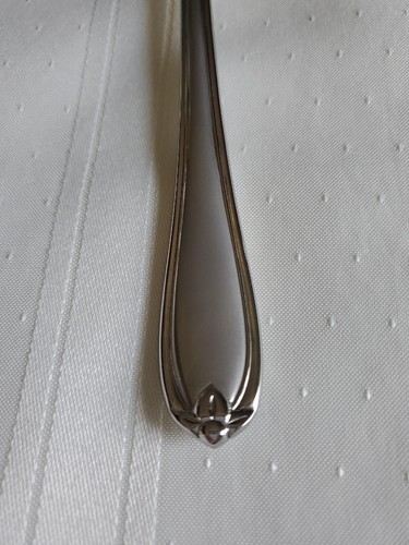 Princess House BARRINGTON Stainless 18/10 Flatware 12" PIERCED SERVING SPOON - Picture 5 of 8
