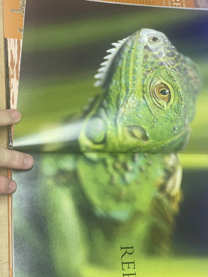 The Encyclopedia of Reptiles, Amphibians & Invertebrates - Image 4 of 4