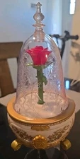 Rosa De La Bella Y La Bestia Rose from Beauty and the Beast