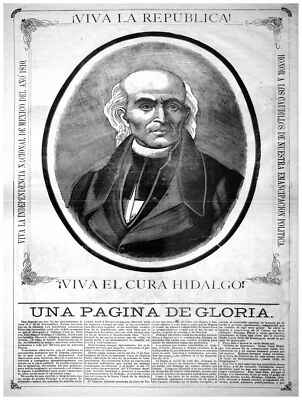 Decor Poster. Fine Graphic Art Design. Viva la Republica. Mexican Design. 1072