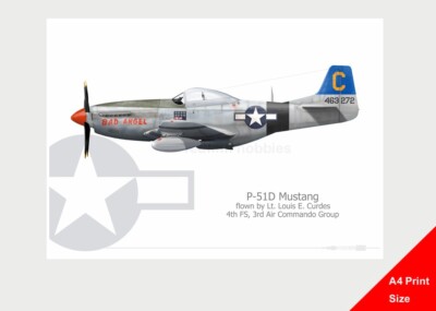 Warhead Illustrated P-51D Mustang 4th FS 3rd ACG Bad Angel A4 Aircraft Print
