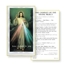 Divine Mercy with the Chaplet of Divine Mercy - Paperstock Holy Card