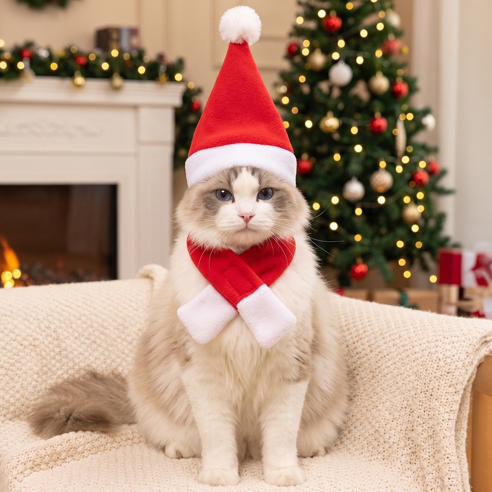 Set Accessori Vacanze Animali per cappello e Sciarpa per Cani per di Piccola foto 3