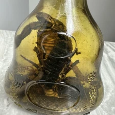 Cobra Snake And A Scorpion In A Glass Bottle 7" Tall - Snake Wine?