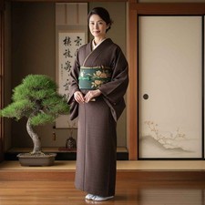 Unused Women's Brown Silk Kasuri Pattern Awase Kimono M 