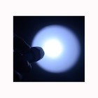 Bild 12 von 27