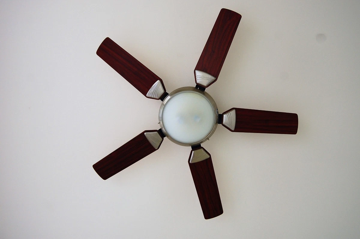 Hunter Ceiling Fan Light Socket Replacement | Shelly Lighting