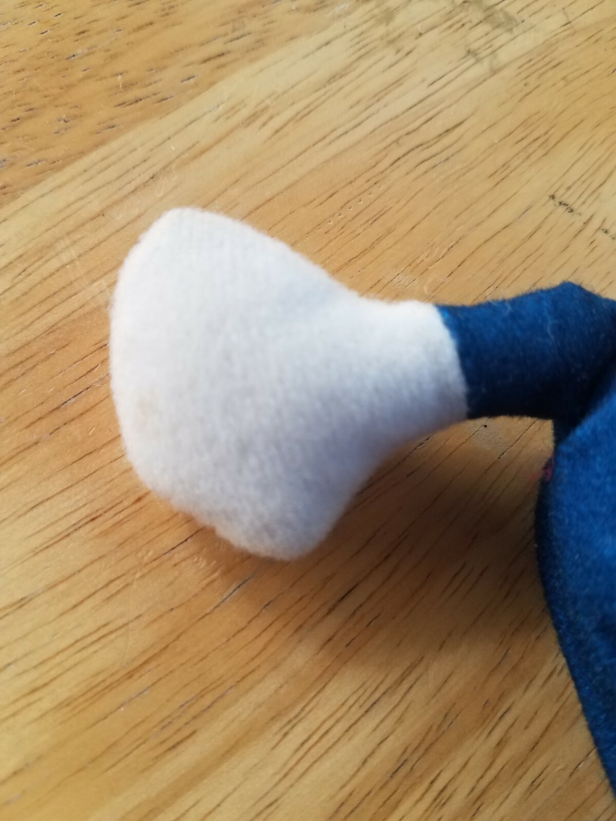 Bild 5 von 6