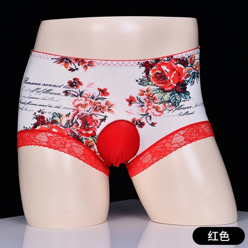 Fashion SISSY POUCH PANTIS Herren Sexy Spitze Unterwäsche Bikini Tanga L-XL Neu - Bild 4 von 7