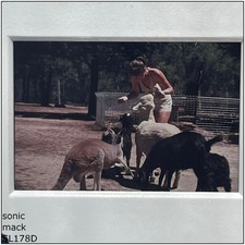 35mm Film Slide (SL178D)