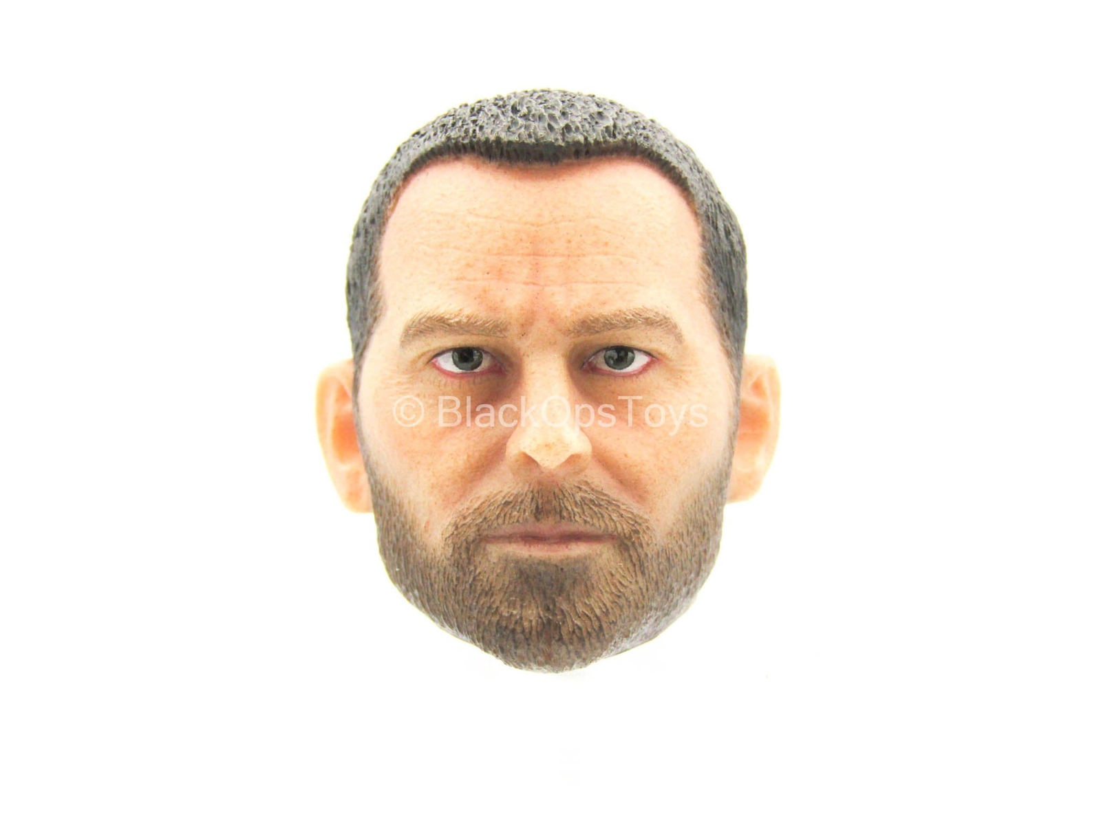 1/6 scale toy 300 - Themistokles - Male Head Sculpt