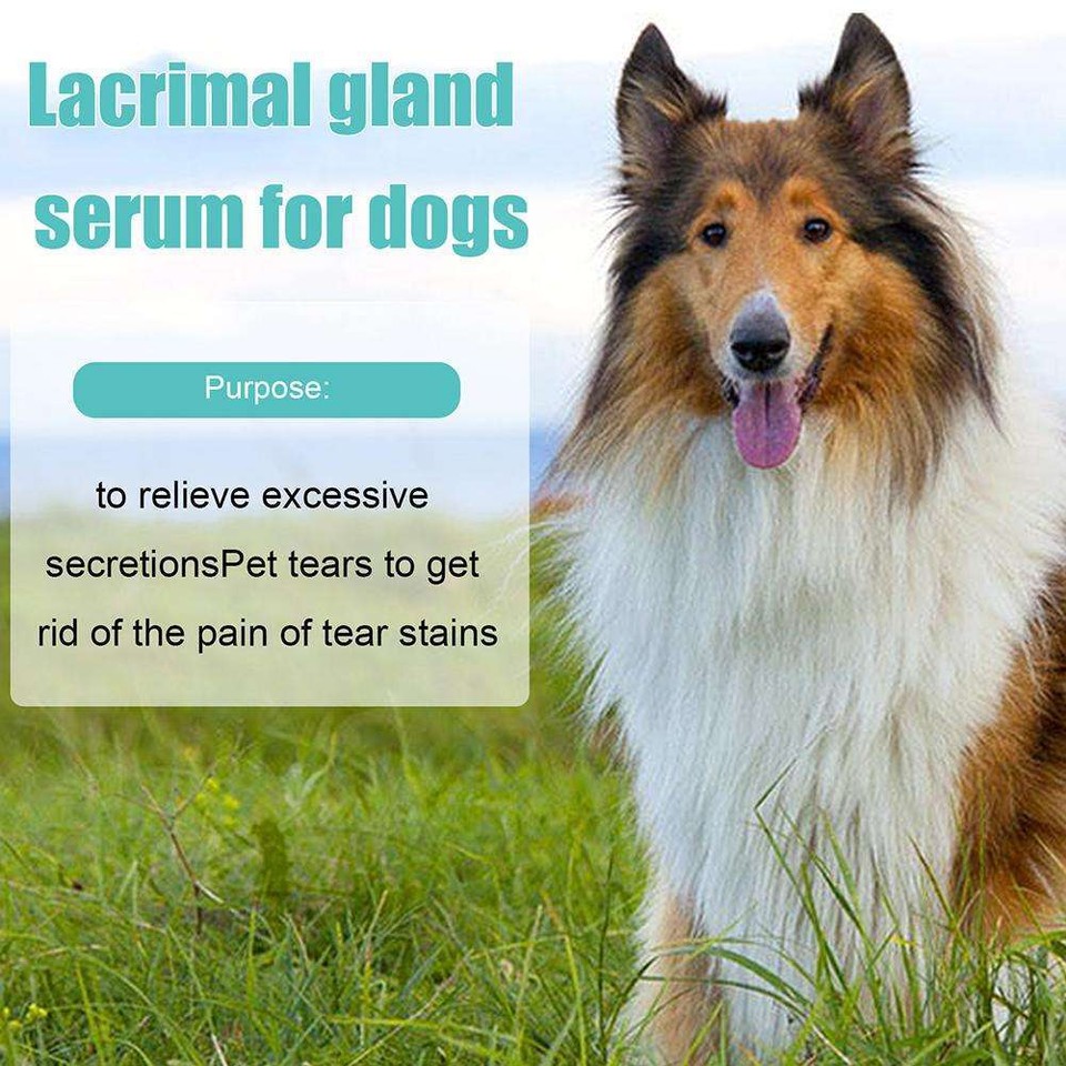 Pet Eye Drops 20ml Cataract Drops For Pet Eye Lubricant Drop Lanosterol