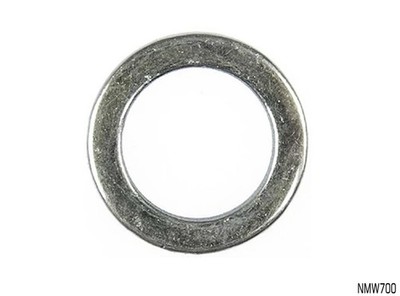 NICE MAG WHEEL WASHER ID 21mm x 3.8mm THICK - SOLD AS 1 NMW700 