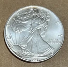 1991 Silver Eagle 1 oz .999 Fine Silver Dollar