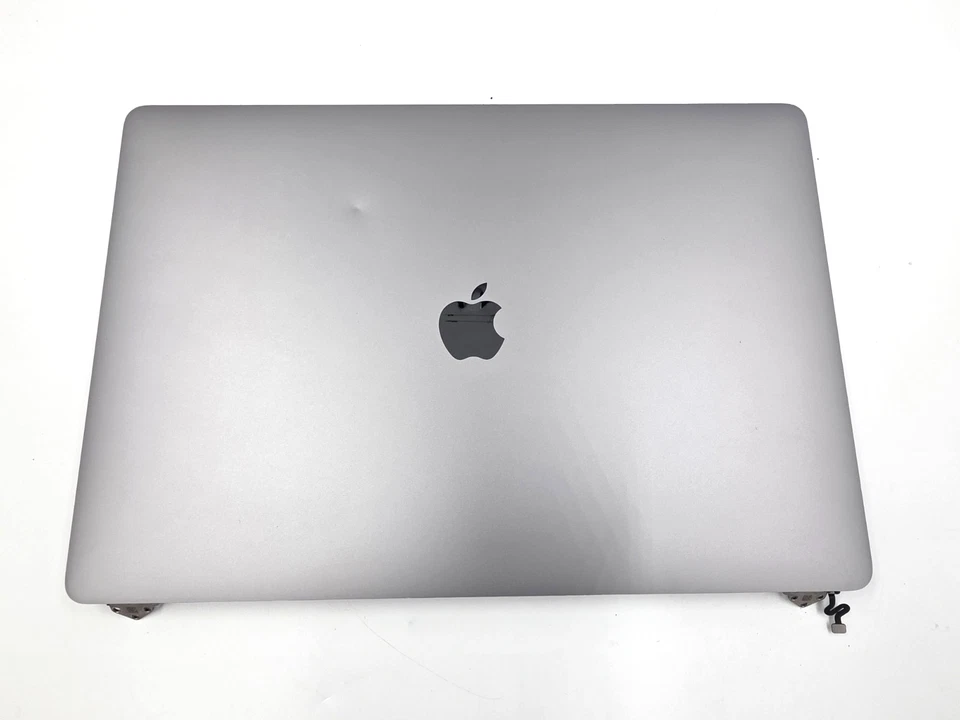 OEM Apple MacBook Pro A2141 2019 16" LCD Screen Display Silver Gray 661-14200 - Image 1 of 4