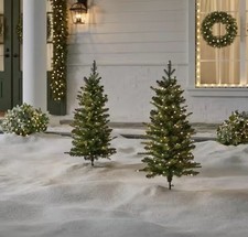 Home Decorator 2 pk 3 ft. Grand Duchess Twinkling Balsam Fir LED PreLit Trees