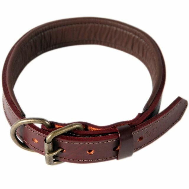 best leather collars