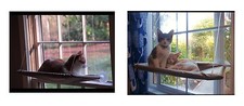 Window Bed, Pet Shelf Window Perch For Cats, High Rise For Cats, Supports 50 lbs
