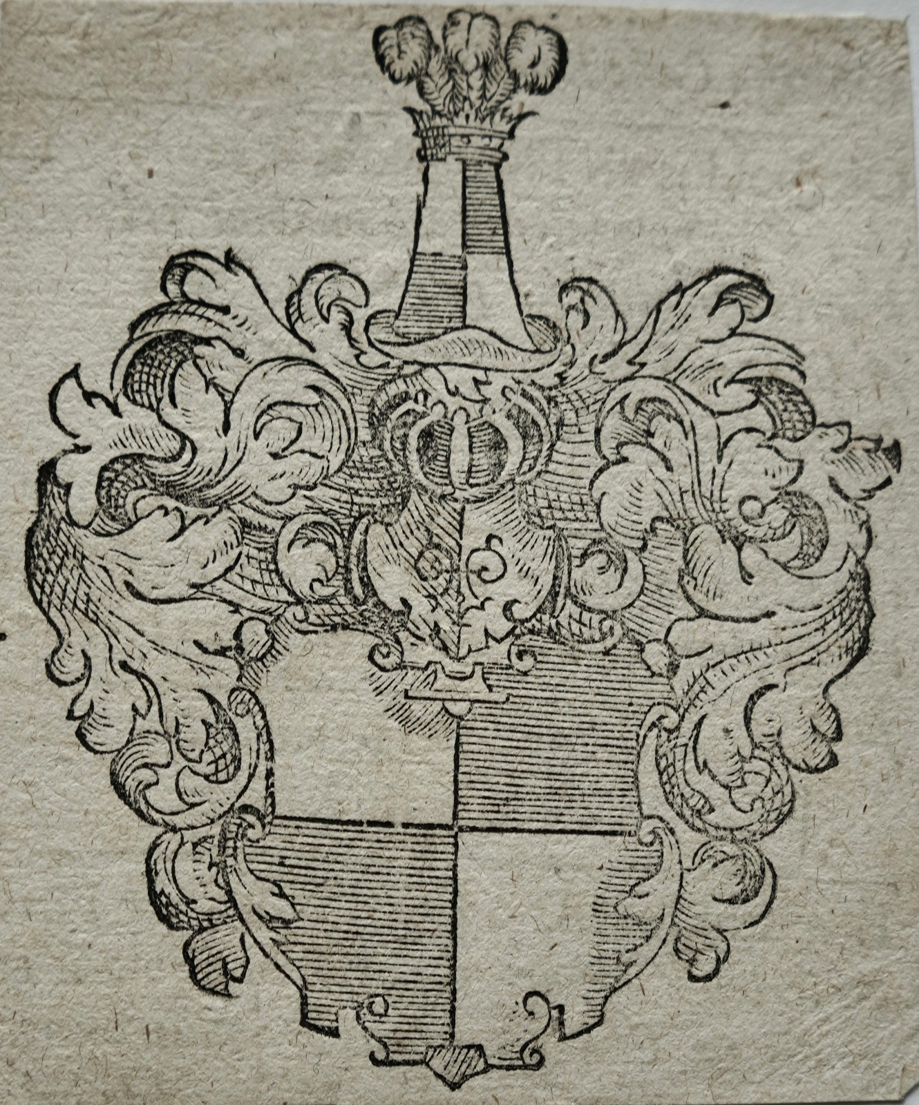 Picture 2