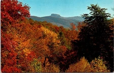 Table Rock Mountain Parkway Blue Ridge North Carolina Postcard E106
