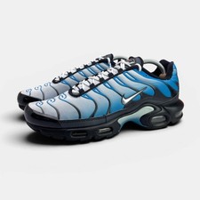 Nike Air Max Plus (TN) Sneaker Herren Gebraucht Gr. EU 42.5