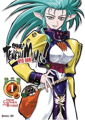 Tenchi Muyo! Ryo-Ohki - Here Comes the Bride! (Vol. 1) [DVD]