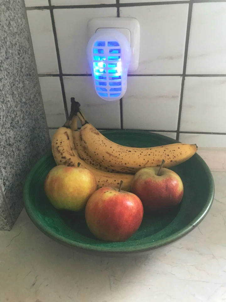 2x Fruchtfliegenfalle Fruchtfliegen Insektenvernichter Insektenfalle UV Licht 1W - Bild 2 von 4