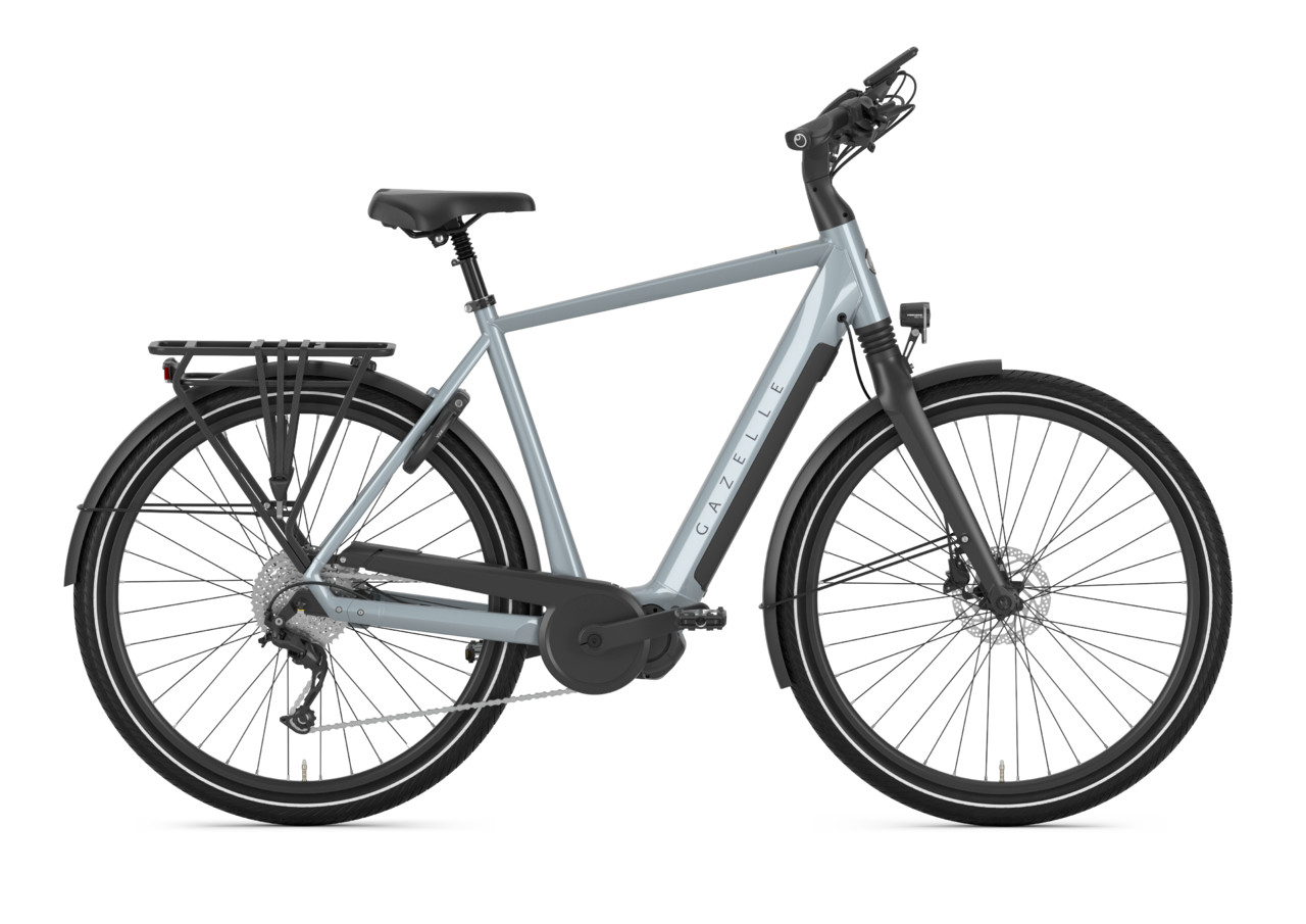 Купить Gazelle Chamonix T10 HMS RH53cm 630Wh Shimano E-Bike на Аукцион DE  из Германии с доставкой в Россию, Украину, Казахстан