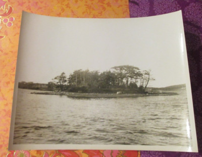 1960s Antique Maine Photo Little Island Maple Juice Cove at South Cushing